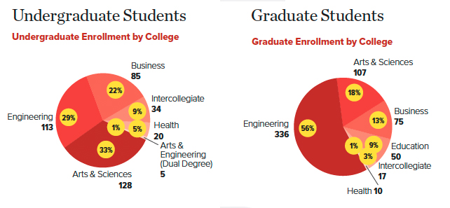 Two pie charts showing international student enrollment for undergraduate and graduate students at Lehigh University