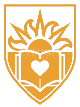 Dual Degree Programs Icon