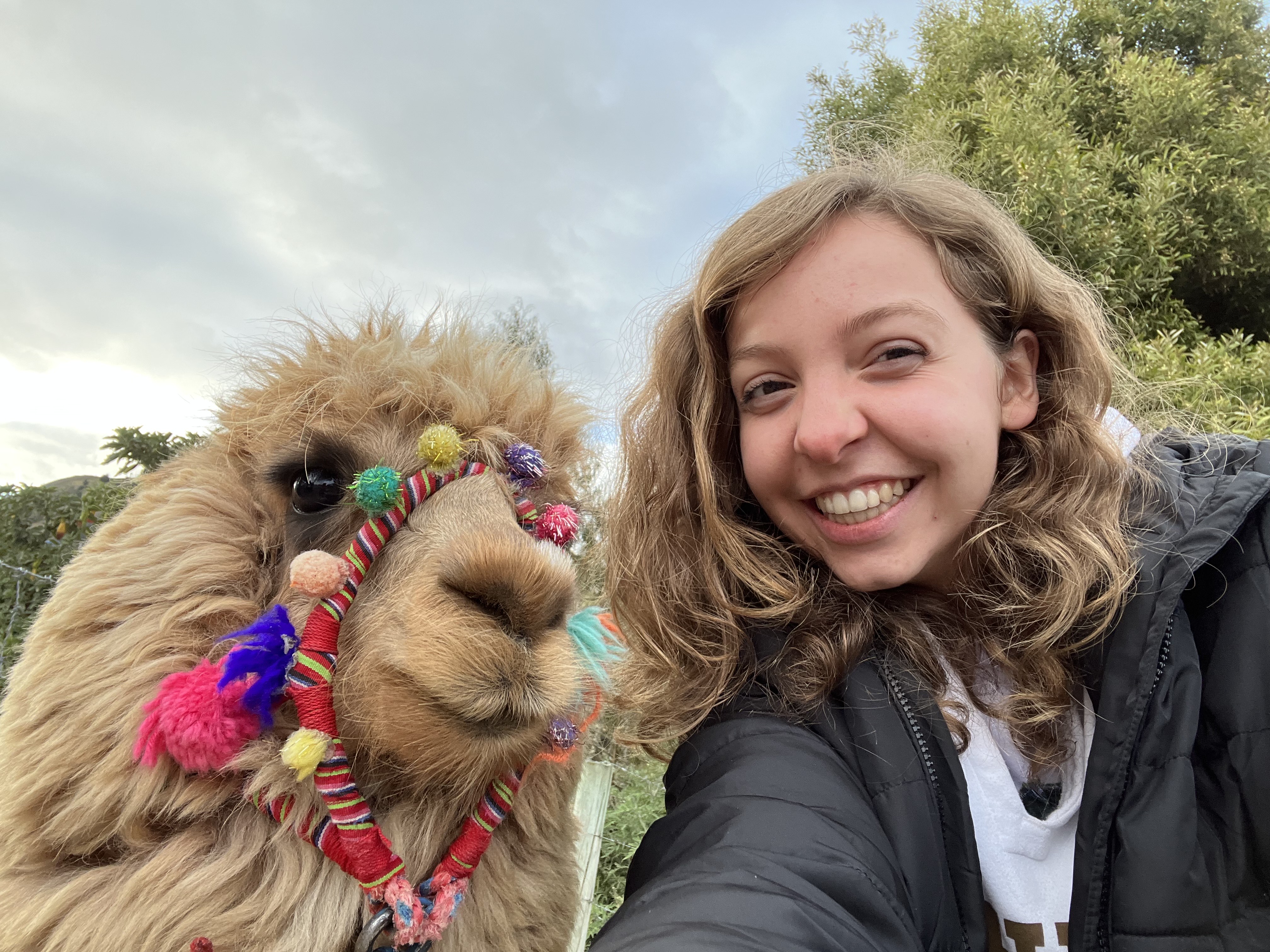 Liz Matthews taking a selfie with an alpaca