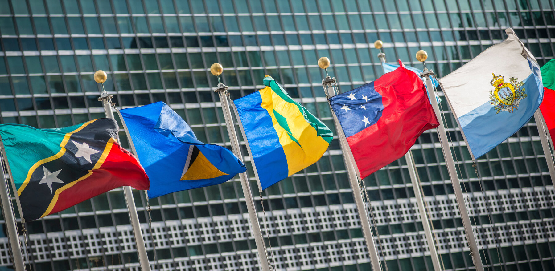 Flags in front of the United Nations headquarters in New York City