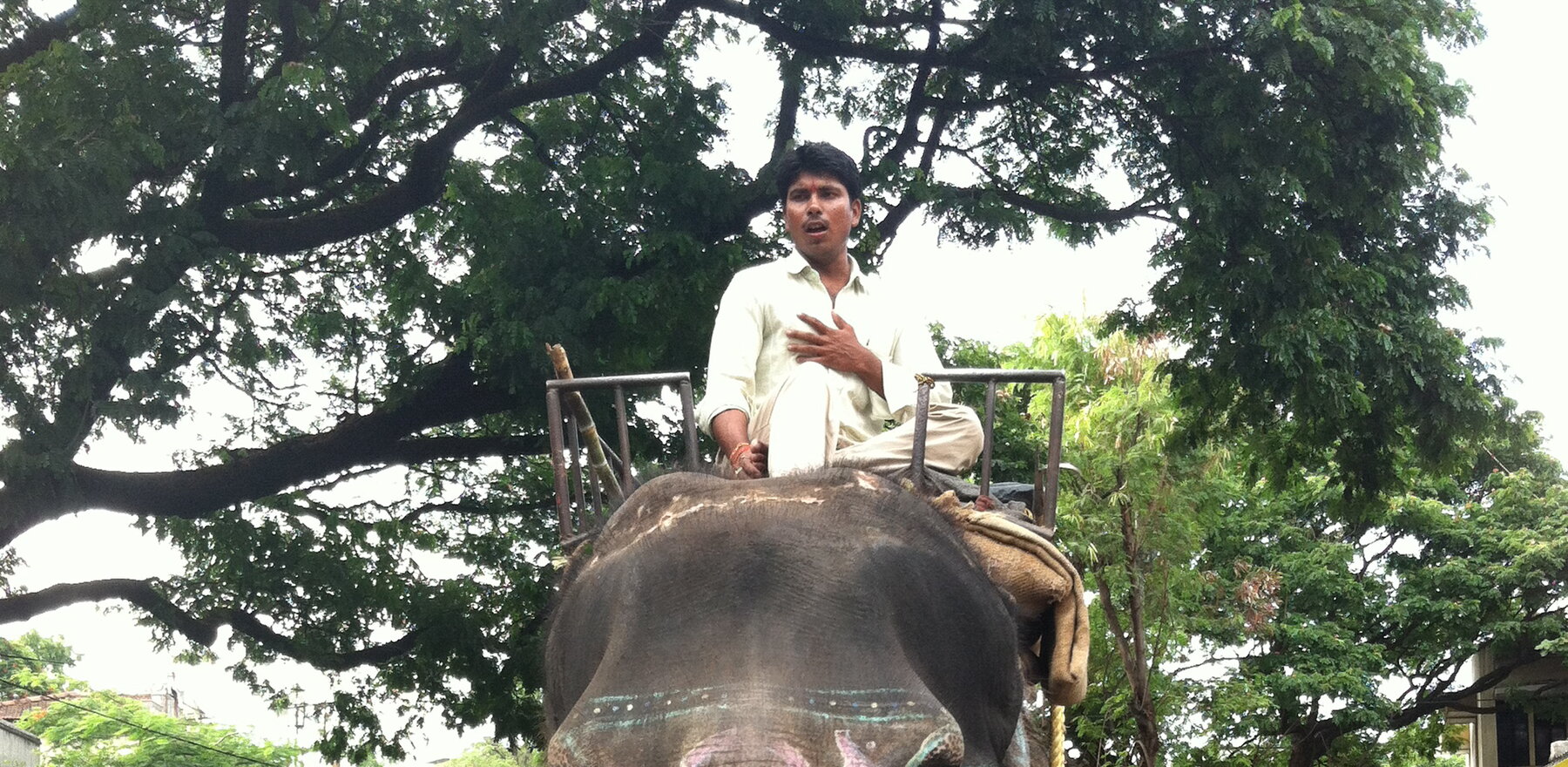 A student riding an elephant in India