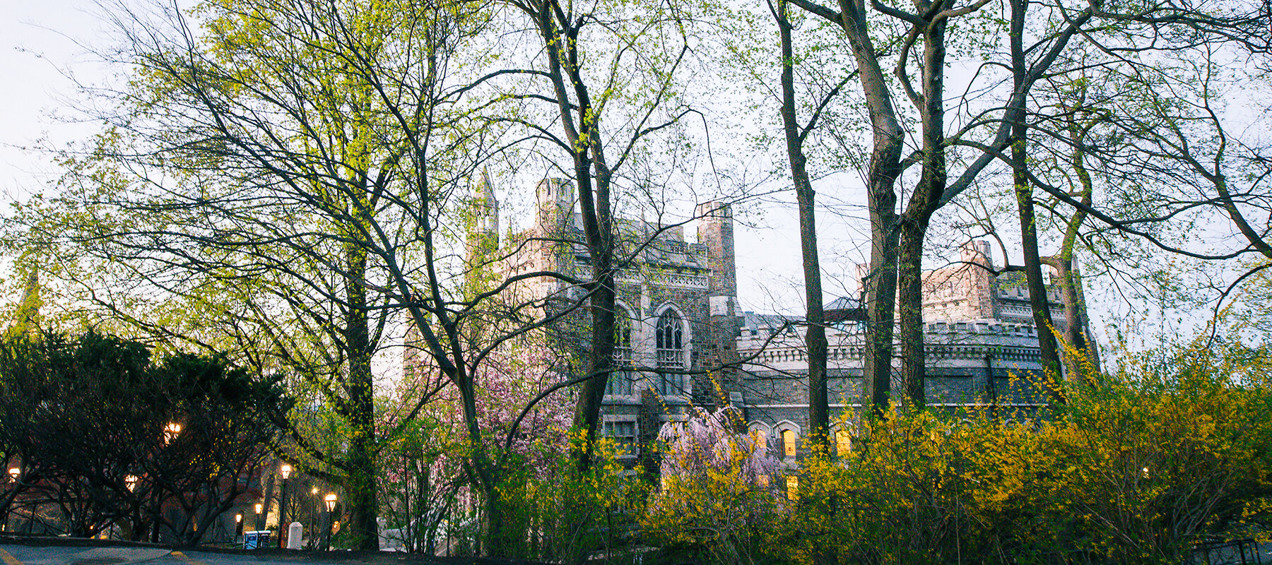 Linderman Library in Spring