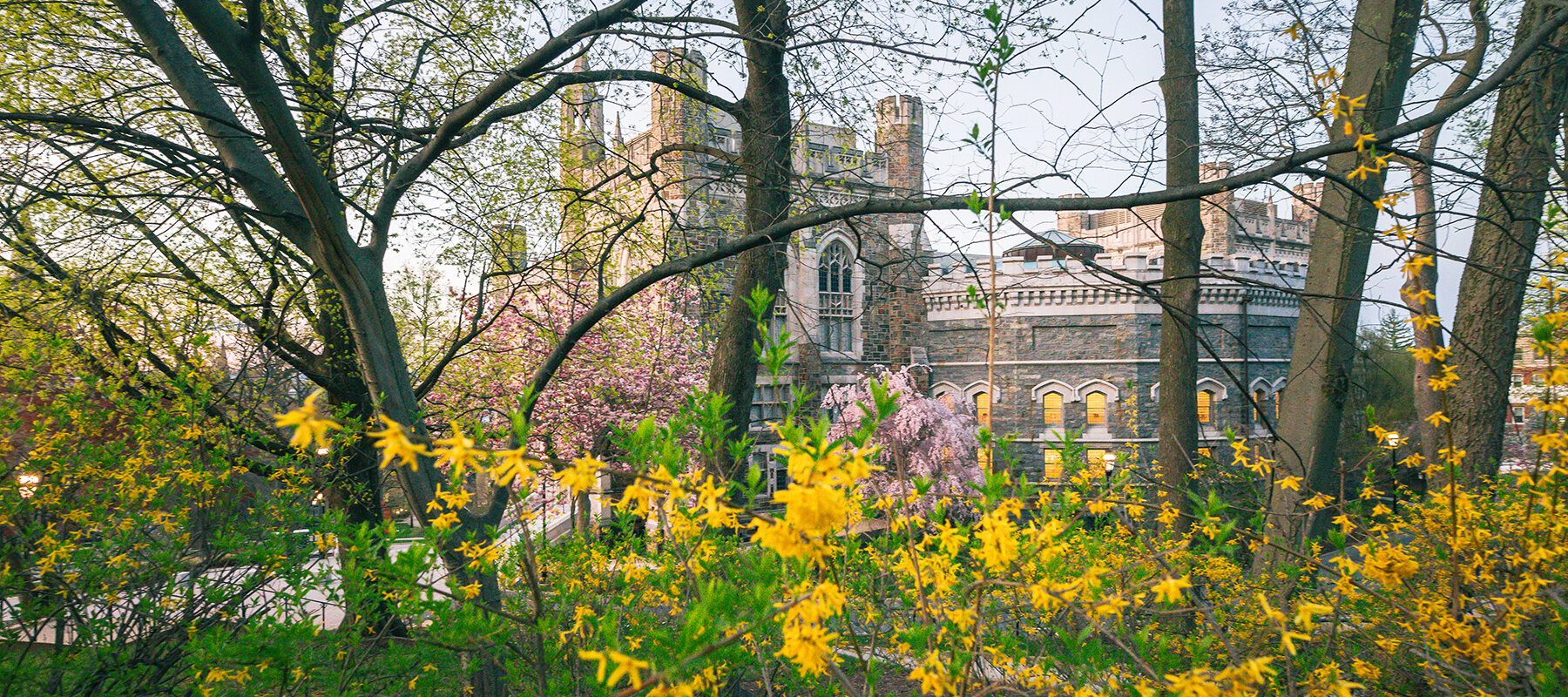 Lehigh University with spring blossoms