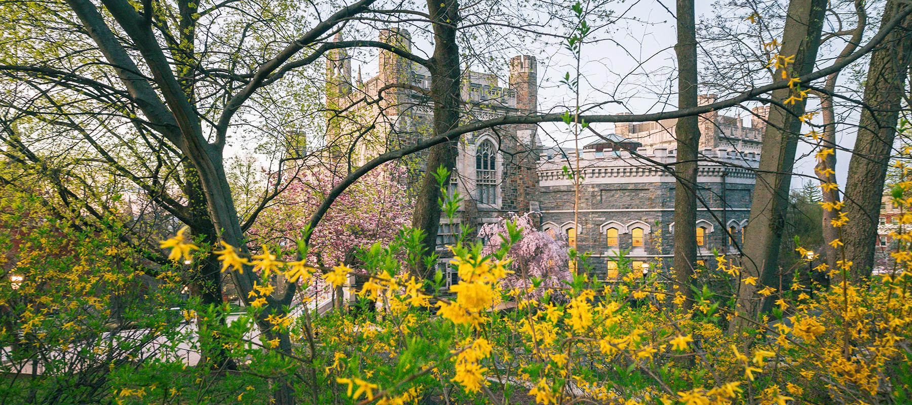 Lehigh University with spring blossoms