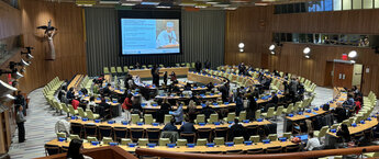 A crowd of people in a United Nations chamber