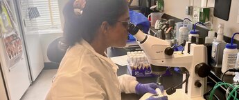 student at microscope