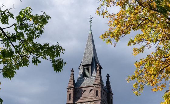 UC Steeple in Fall Foliage