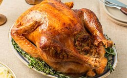 turkey