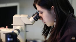 A woman looking into a microscope